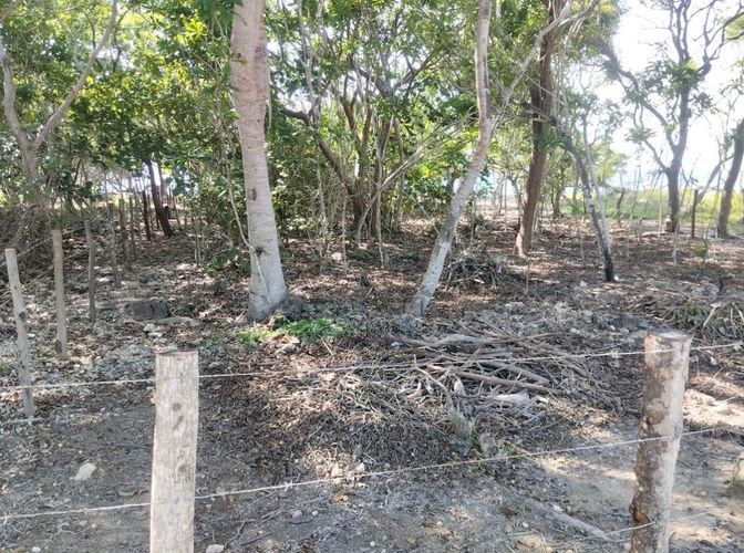 Lote en venta en Barú, Cartagena, 1826 m² · foto 5 de 9