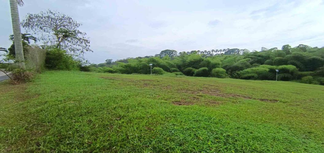 Lote en venta en La Trinidad, Manizales · foto 2 de 24