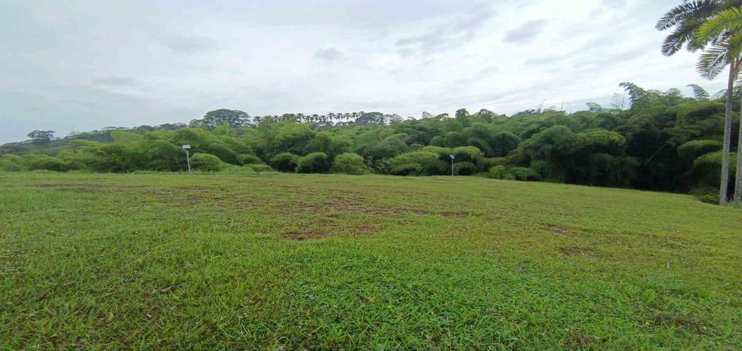 Lote en venta en La Trinidad, Manizales · foto 3 de 24