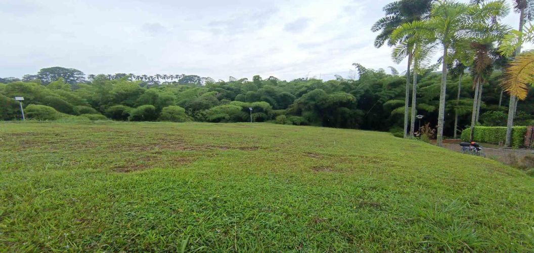 Lote en venta en La Trinidad, Manizales · foto 6 de 24