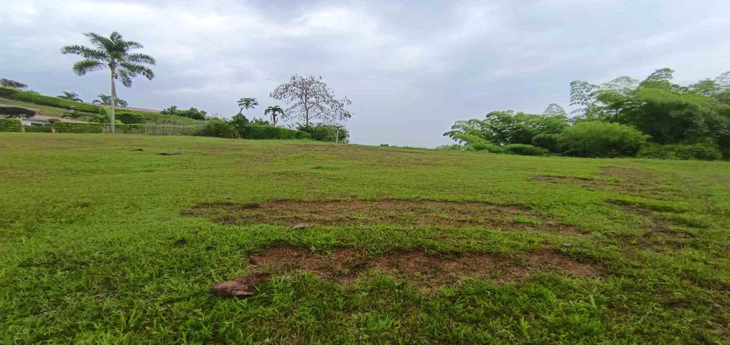 Lote en venta en La Trinidad, Manizales · foto 19 de 24