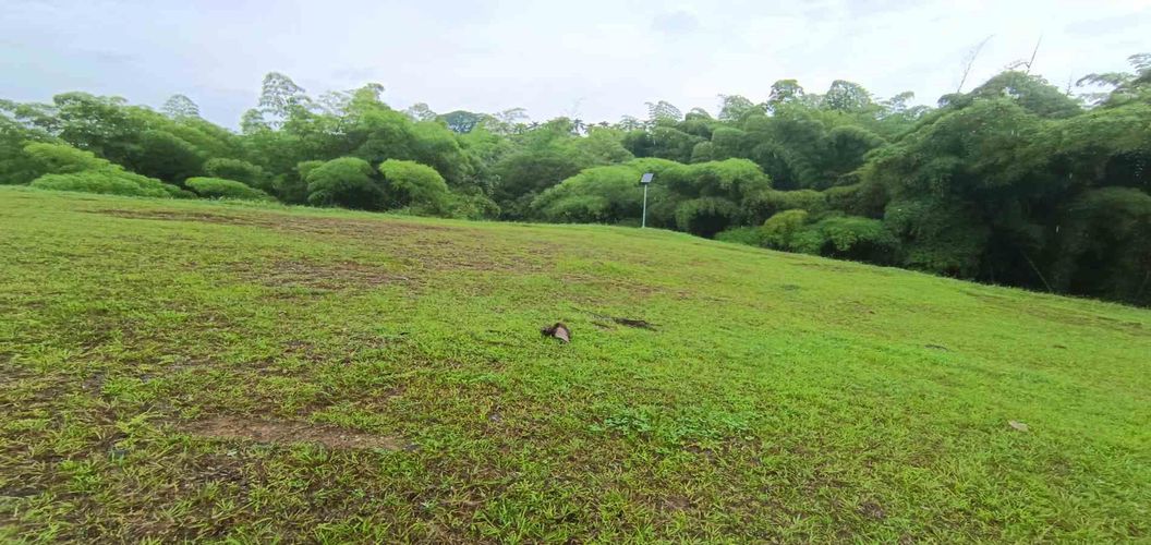 Lote en venta en La Trinidad, Manizales · foto 24 de 24