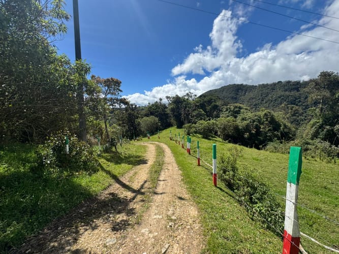 Finca en venta en El Volcan, La Calera, 200 m² · foto 6 de 24