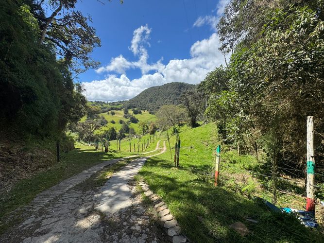 Finca en venta en El Volcan, La Calera, 200 m² · foto 8 de 24