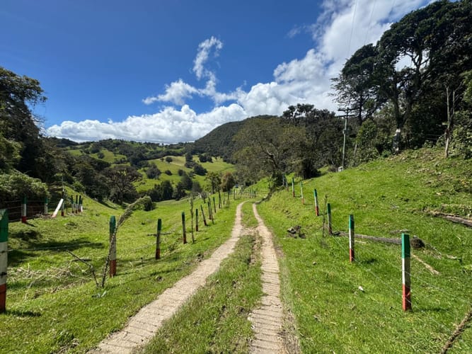 Finca en venta en El Volcan, La Calera, 200 m² · foto 9 de 24