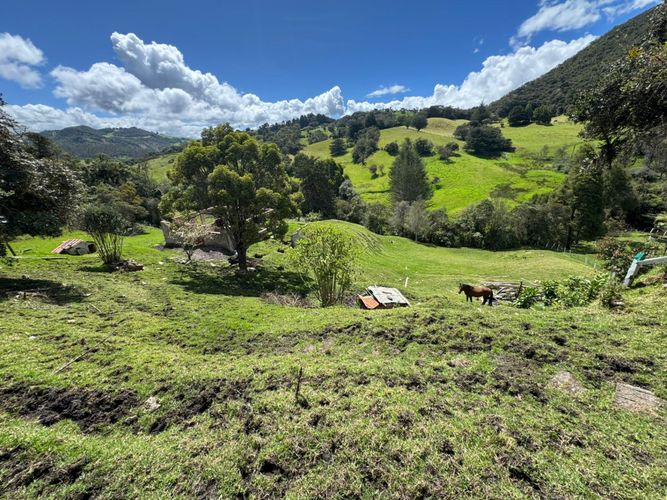 Finca en venta en El Volcan, La Calera, 200 m² · foto 13 de 24