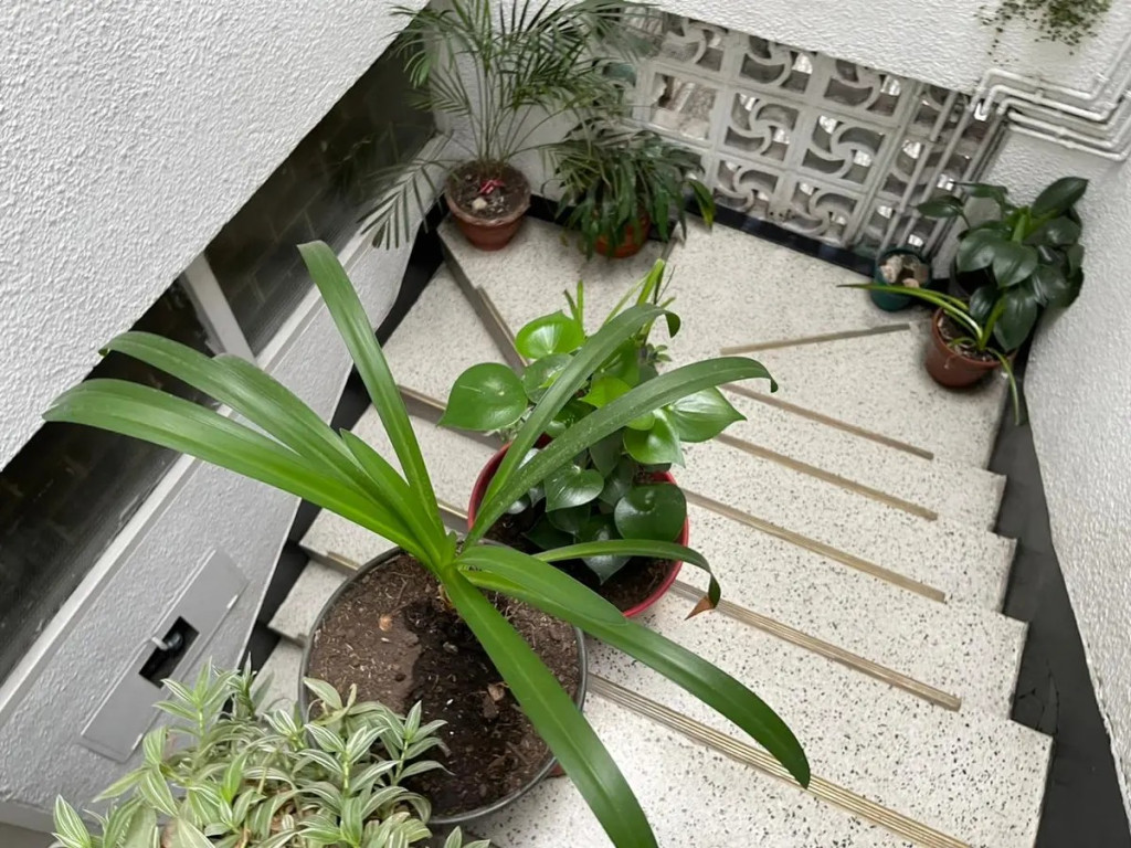Apartamento en venta en Restrepo, Bogotá · foto 12 de 13