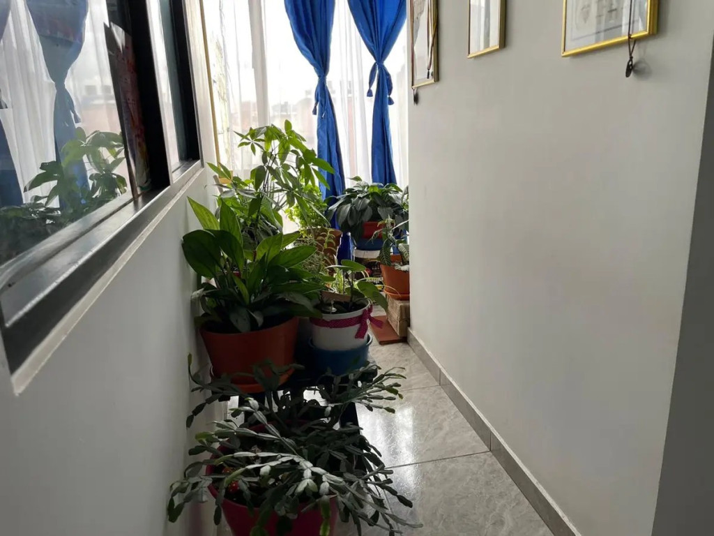 Apartamento en venta en Restrepo, Bogotá · foto 13 de 13