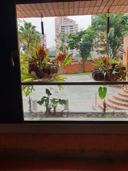 Apartamento de 4 alcobas en venta en Alejandría, Medellín, 199 m² · foto 5 de 20