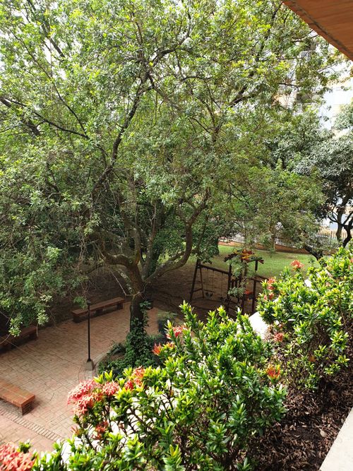 Apartamento de 4 alcobas en venta en Alejandría, Medellín, 199 m² · foto 19 de 20