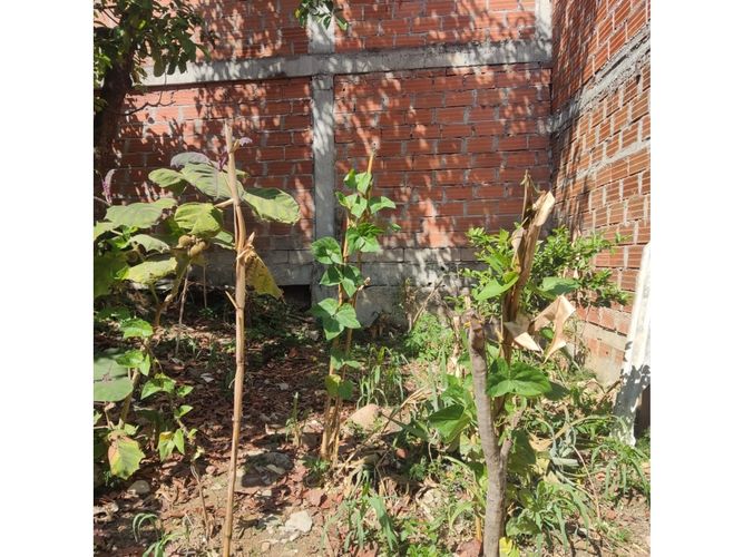 Casa de 12 alcobas en venta en San Gabriel, Itagüí, 256 m² · foto 12 de 24