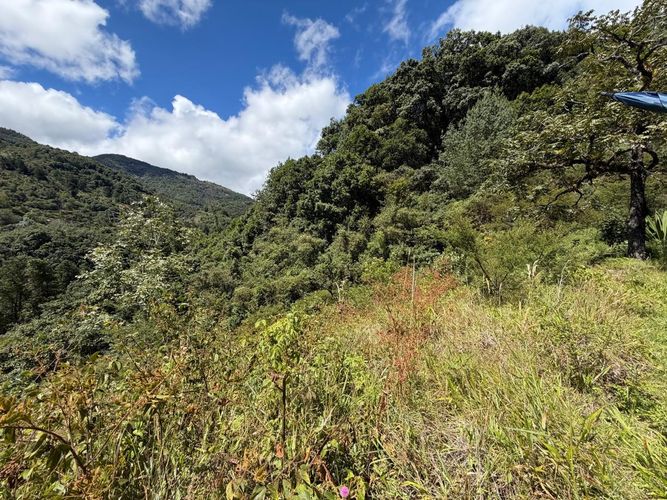 Lote en venta en Morasurco, Pasto, 8805 m² · foto 2 de 4