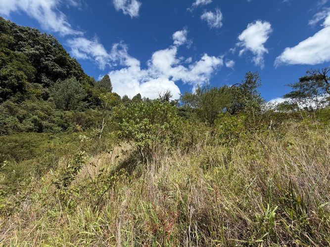 Lote en venta en Morasurco, Pasto, 8805 m² · foto 4 de 4