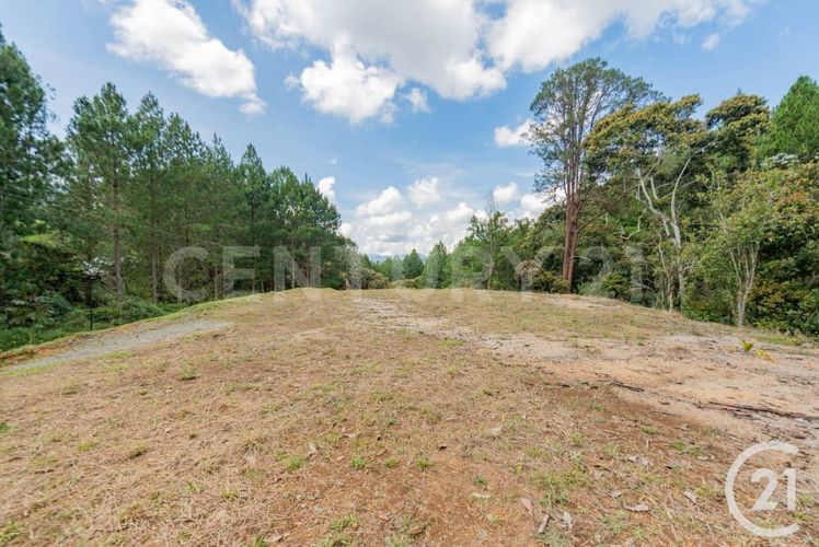 Lote en venta en La Ceja, 3600 m² · foto 3 de 10