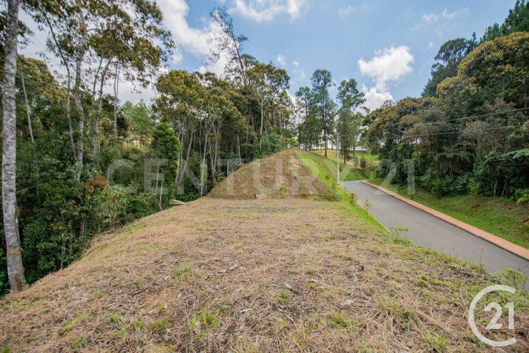 Lote en venta en La Ceja, 3600 m² · foto 5 de 10