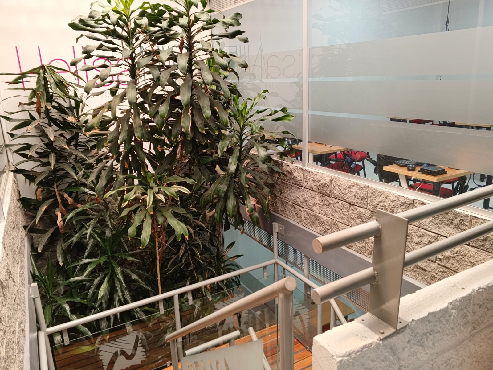 Casa en venta en San Luis, Bogotá · foto 20 de 24