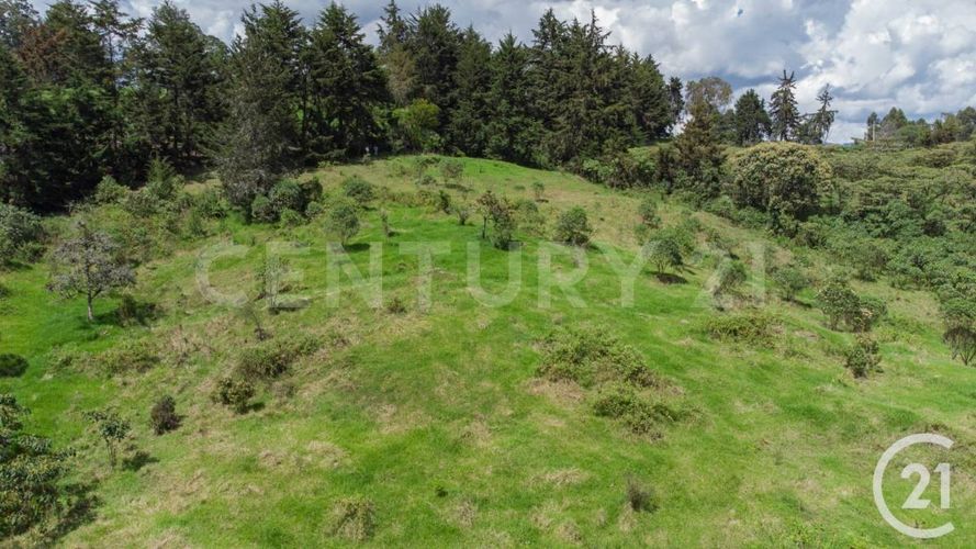 Lote en venta en Centro, Rionegro, 24800 m² · foto 2 de 19