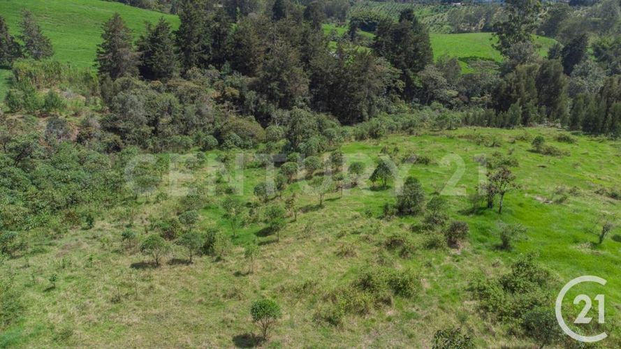 Lote en venta en Centro, Rionegro, 24800 m² · foto 3 de 19