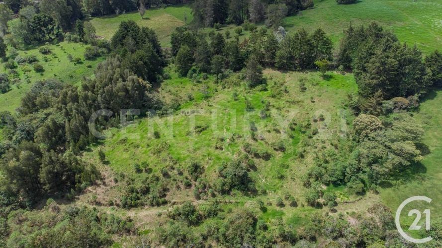 Lote en venta en Centro, Rionegro, 24800 m² · foto 4 de 19
