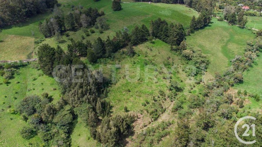 Lote en venta en Centro, Rionegro, 24800 m² · foto 5 de 19