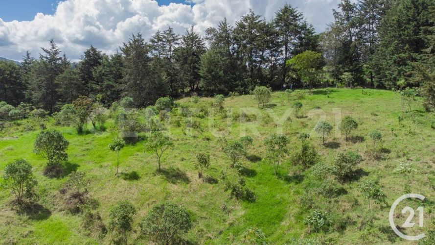Lote en venta en Centro, Rionegro, 24800 m² · foto 6 de 19