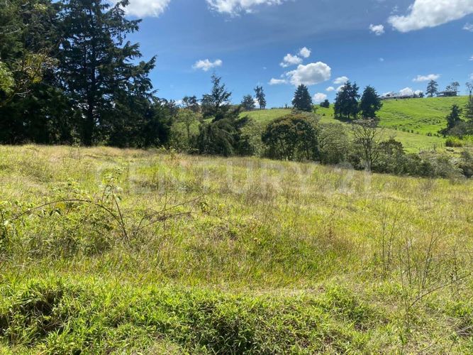 Lote en venta en Centro, Rionegro, 24800 m² · foto 7 de 19