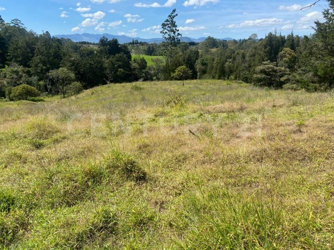 Lote en venta en Centro, Rionegro, 24800 m² · foto 8 de 19