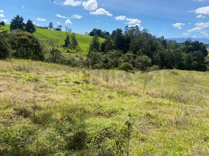 Lote en venta en Centro, Rionegro, 24800 m² · foto 9 de 19