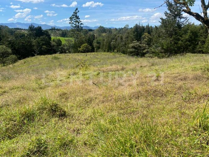 Lote en venta en Centro, Rionegro, 24800 m² · foto 10 de 19