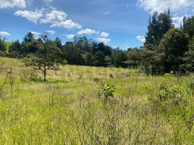 Lote en venta en Centro, Rionegro, 24800 m² · foto 12 de 19