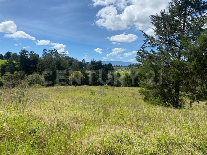 Lote en venta en Centro, Rionegro, 24800 m² · foto 13 de 19