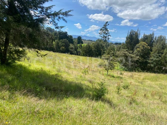 Lote en venta en Centro, Rionegro, 24800 m² · foto 14 de 19