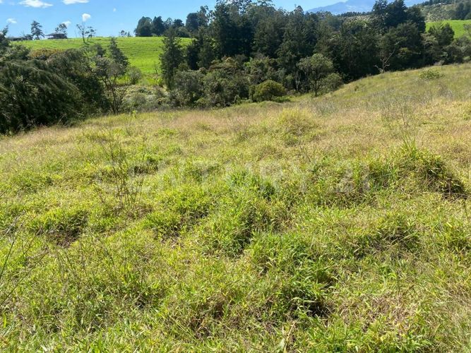 Lote en venta en Centro, Rionegro, 24800 m² · foto 15 de 19