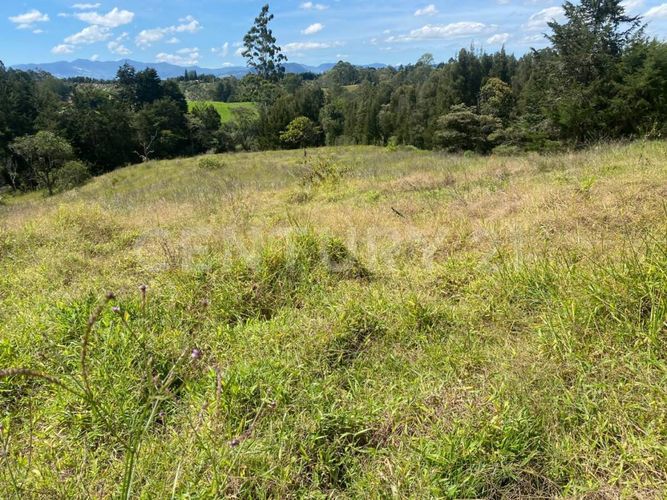 Lote en venta en Centro, Rionegro, 24800 m² · foto 16 de 19