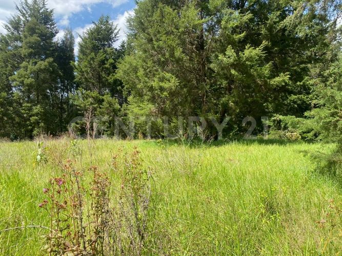 Lote en venta en Centro, Rionegro, 24800 m² · foto 18 de 19