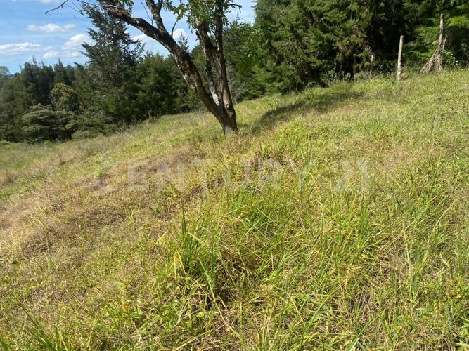 Lote en venta en Centro, Rionegro, 24800 m² · foto 19 de 19