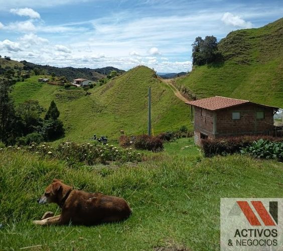 Finca en venta en El Carmen De Viboral, El Carmen de Viboral, 89600 m² · foto 2 de 8