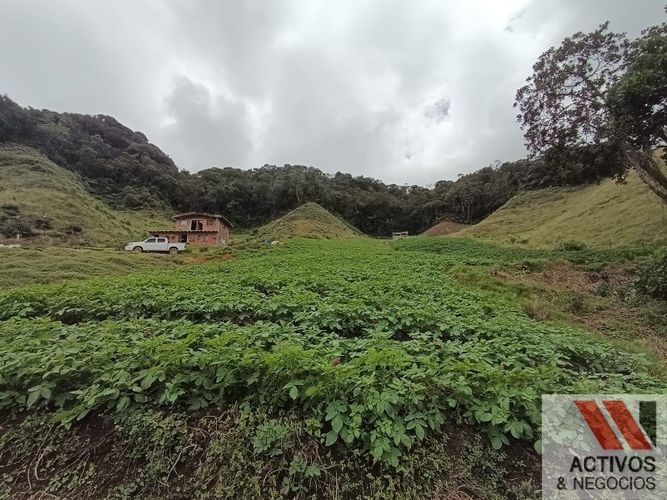 Finca en venta en El Carmen De Viboral, El Carmen de Viboral, 89600 m² · foto 3 de 8