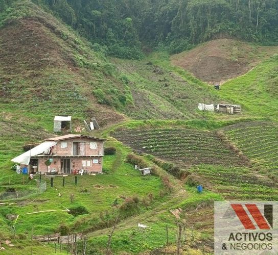 Finca en venta en El Carmen De Viboral, El Carmen de Viboral, 89600 m² · foto 4 de 8