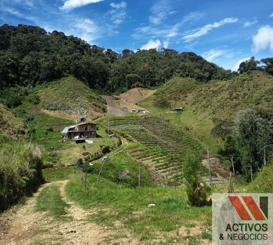 Finca en venta en El Carmen De Viboral, El Carmen de Viboral, 89600 m² · foto 5 de 8