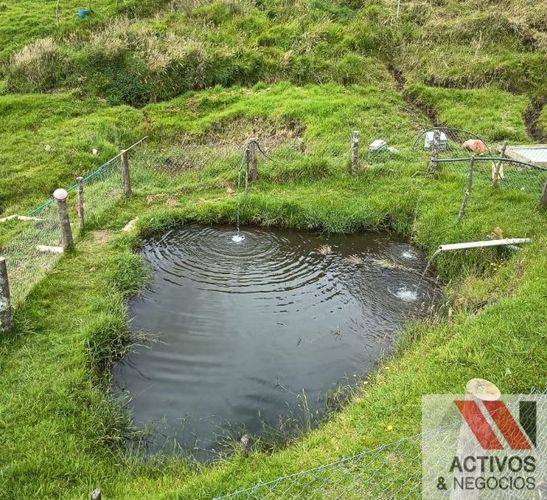 Finca en venta en El Carmen De Viboral, El Carmen de Viboral, 89600 m² · foto 7 de 8