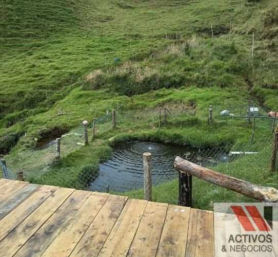 Finca en venta en El Carmen De Viboral, El Carmen de Viboral, 89600 m² · foto 8 de 8
