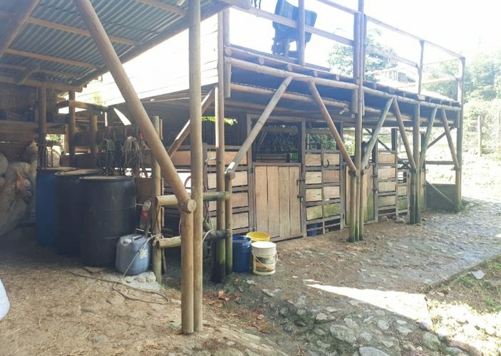 Casa de 4 alcobas en venta en Zuñiga, Envigado, 700 m² · foto 4 de 24