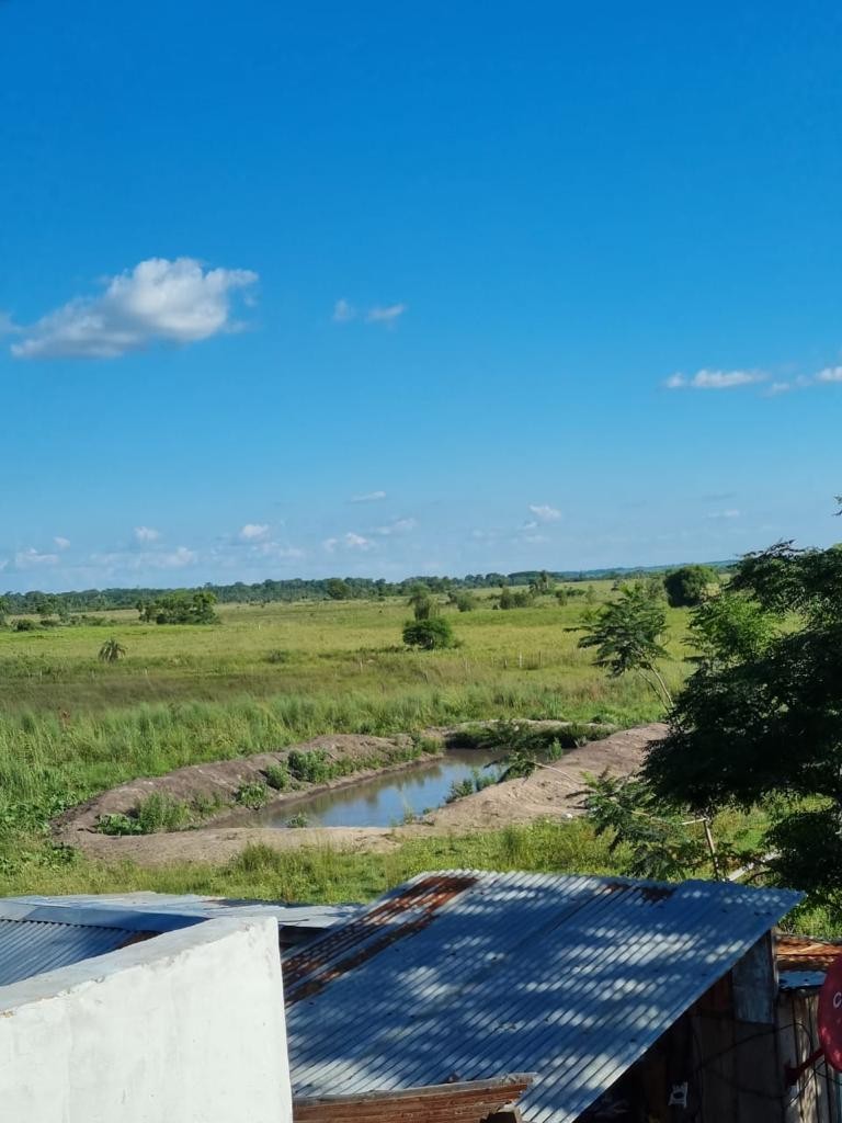 EN VENTA ESTABLECIMIENTO RURAL EN COLONIA PRIMAVERA – LIMA, SAN PEDRO? — foto 2