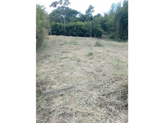 Lote en venta en Cerritos, Dosquebradas, 4041 m² · foto 2 de 10