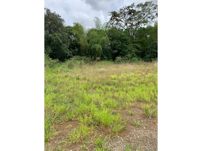Lote en venta en Cerritos, Dosquebradas, 4041 m² · foto 7 de 10