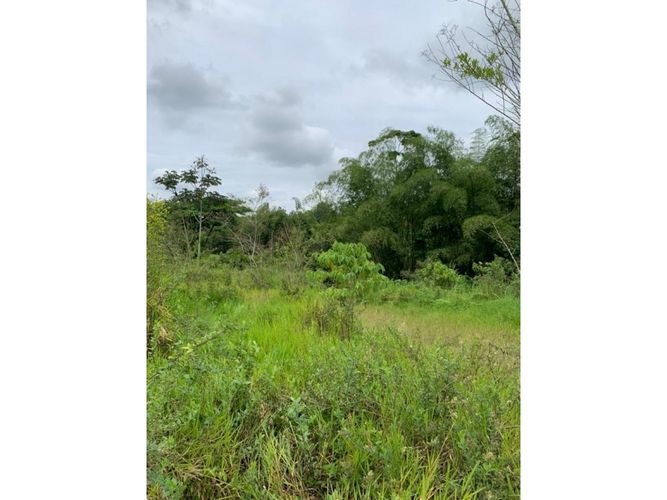 Lote en venta en Cerritos, Dosquebradas, 4041 m² · foto 8 de 10