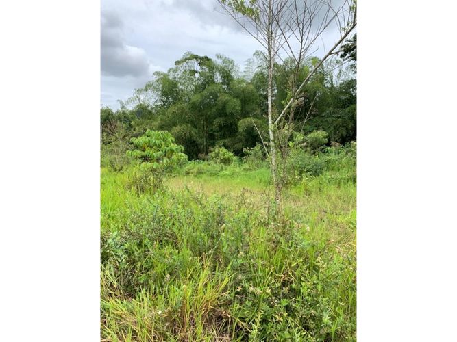 Lote en venta en Cerritos, Dosquebradas, 4041 m² · foto 9 de 10