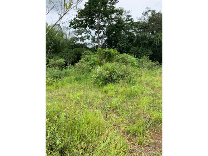 Lote en venta en Cerritos, Dosquebradas, 4041 m² · foto 10 de 10