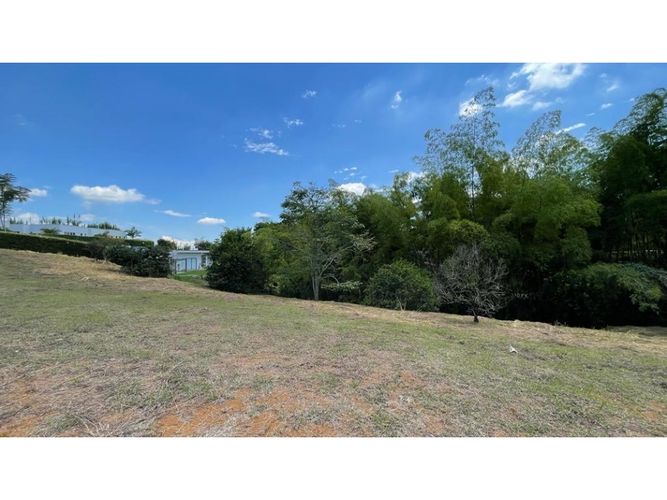 Lote en venta en Cerritos, Pereira, 2546 m² · foto 13 de 24